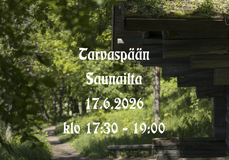 Savusaunailta 2
